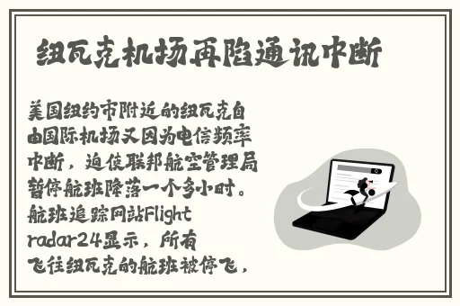 我的将军大人